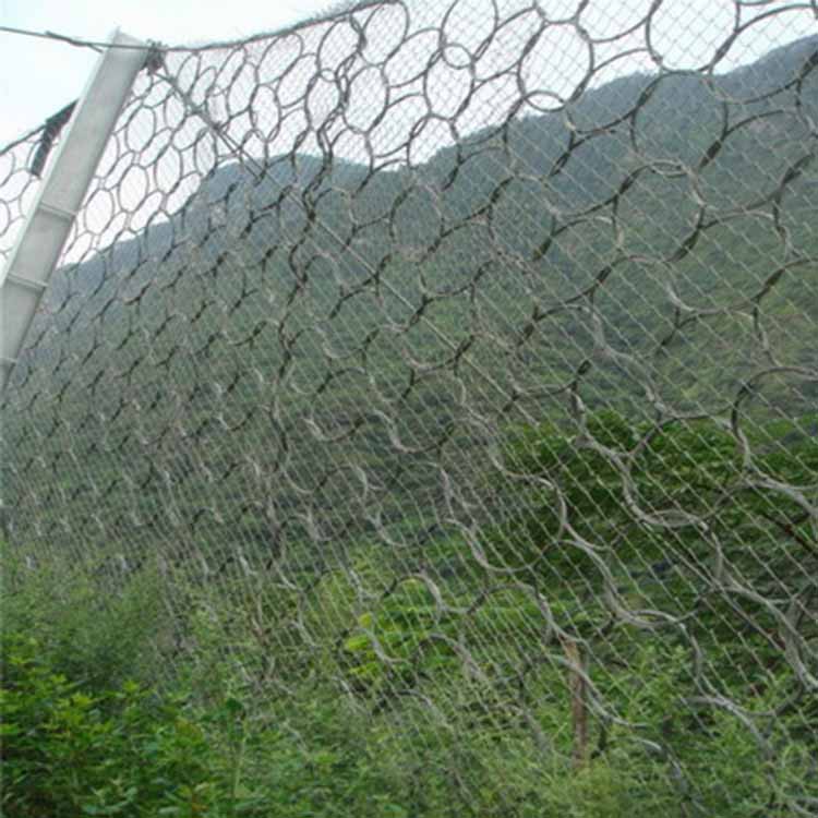 平陽生態綠化被動網 愛喇叭網.jpg